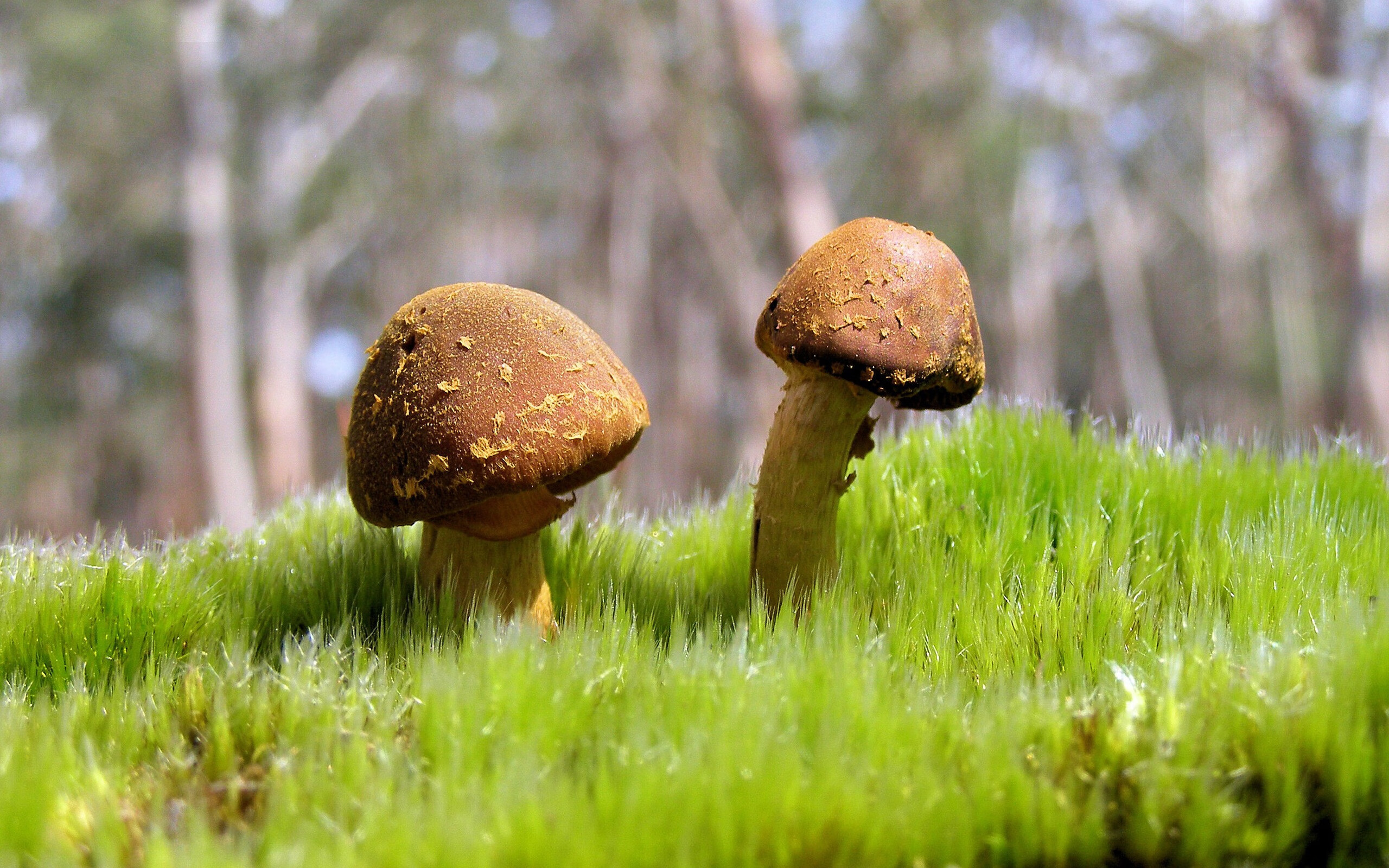 开云体育平台APP-卡瓦哈尔魔术师掌控时间！尼斯末节风暴卷走克罗地亚