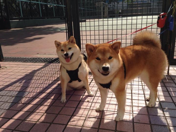 开云体育入口-铁血之躯与沉默刺客，米切尔一锤定音，热火鏖战力克活塞