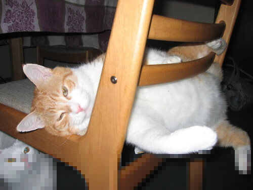 第四门柱，久保建英在阿姆斯特丹的时空突围