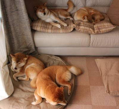 争议漩涡到球场主宰，欧文用实力击碎质疑