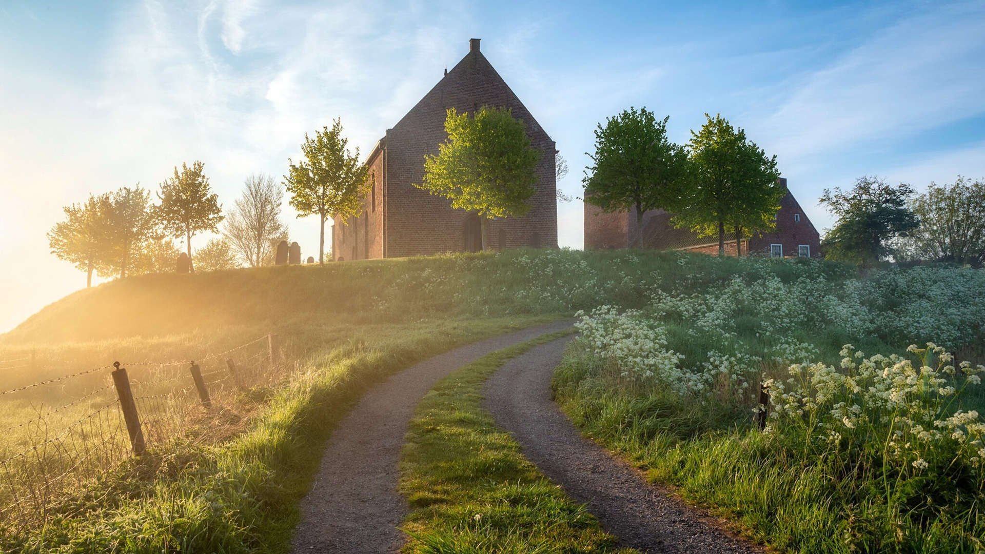 双线交响，天鹅绒革命与技术流新王加冕