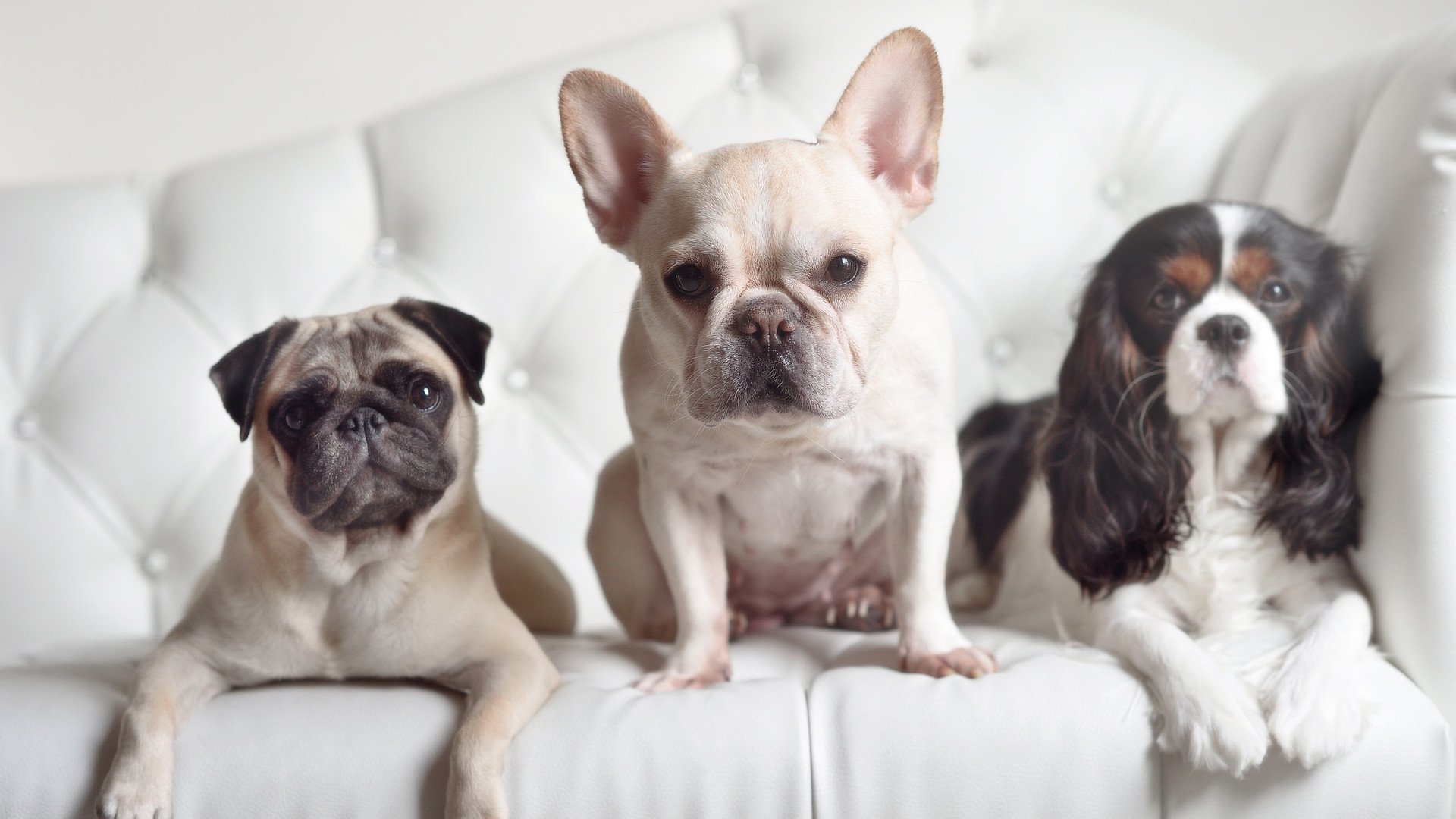 开云体育入口-当哈利伯顿穿越时空的一分钟，篮球的平行宇宙轰然洞开