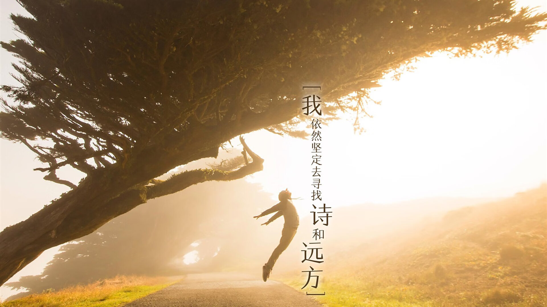 当规则被撕碎,哥斯达黎加横扫智利,但阿方索·戴维斯才是那场雨