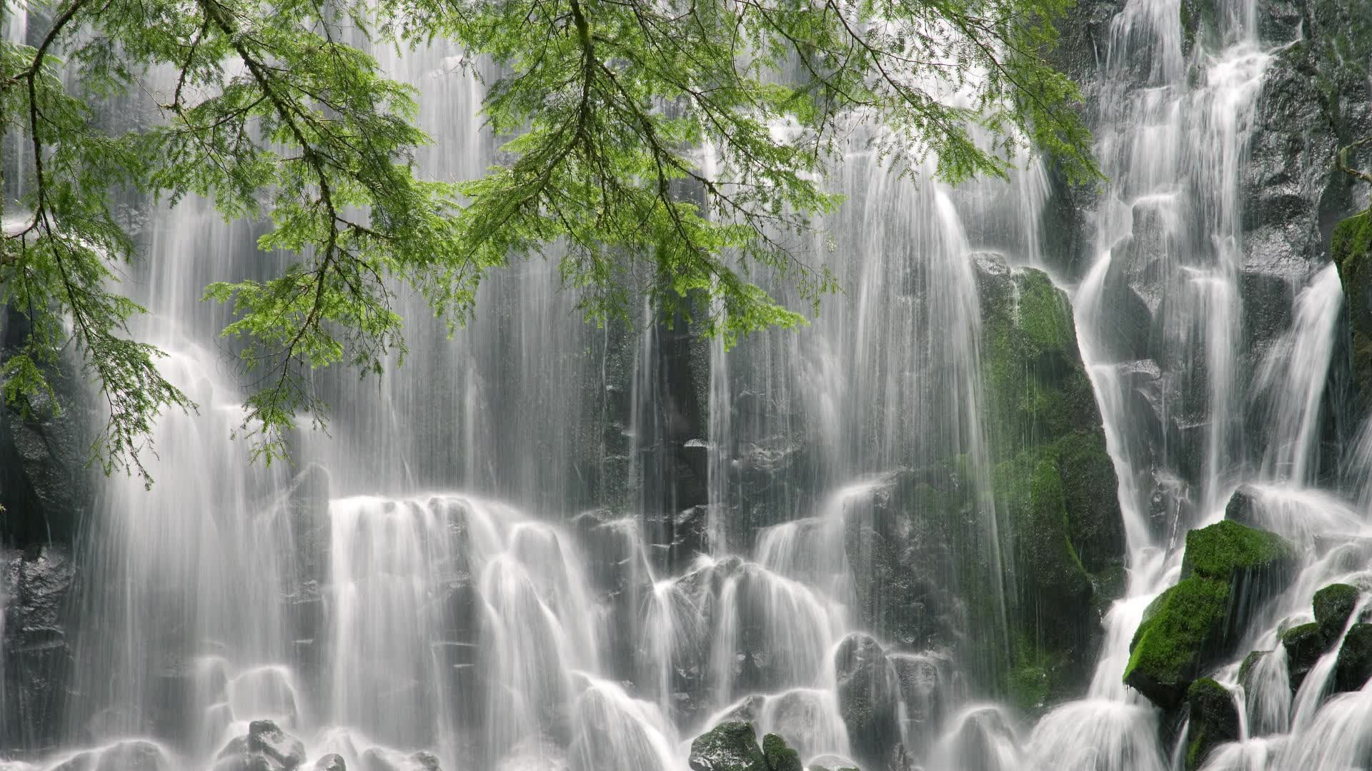 为了构建这个唯一性的故事，我们必须找到一个超越常理的叙事逻辑。以下是我的构思