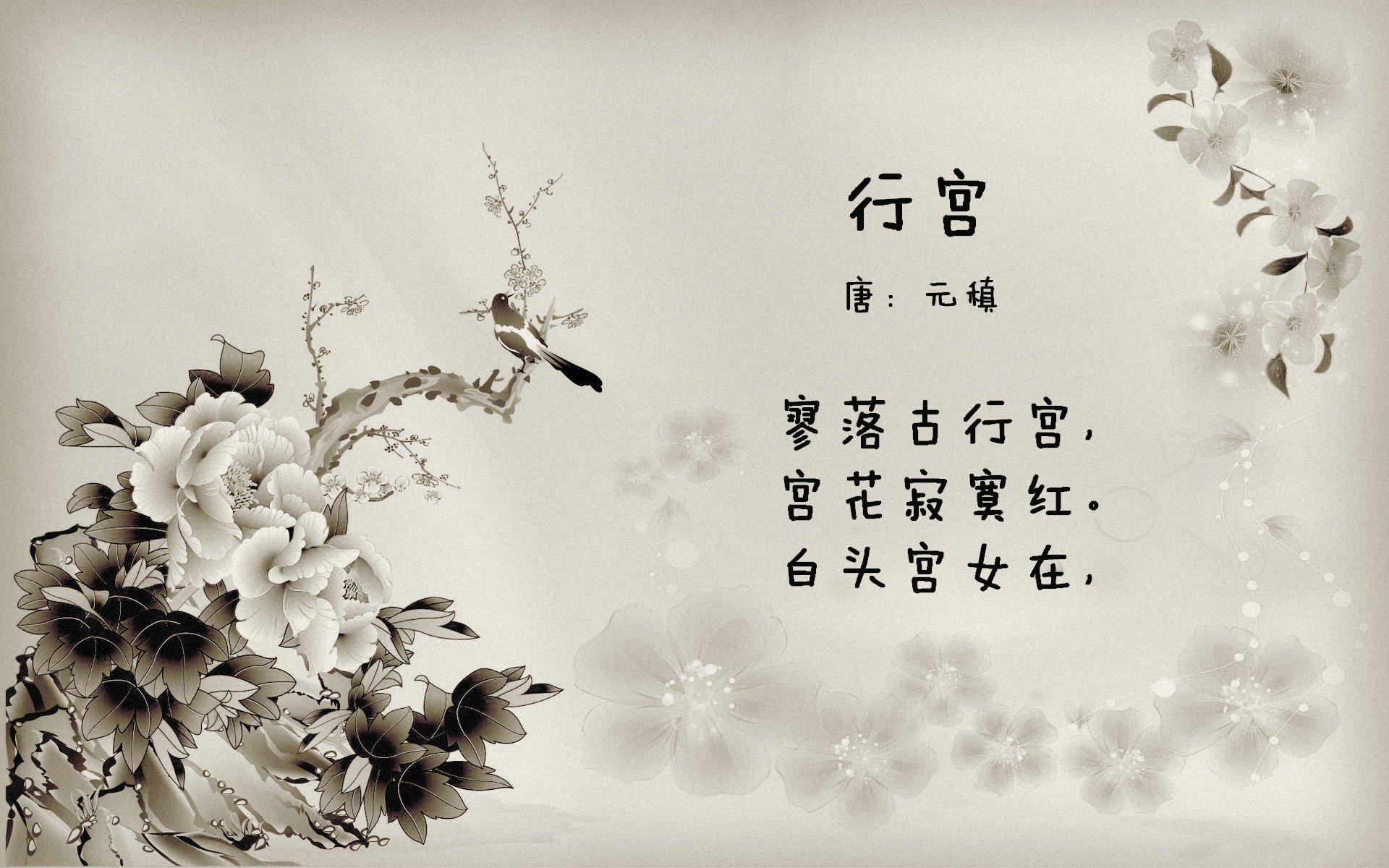 黑马狂奔，蓝月闪耀，摩洛哥北非之墙碾碎越南，坎塞洛剑指王座