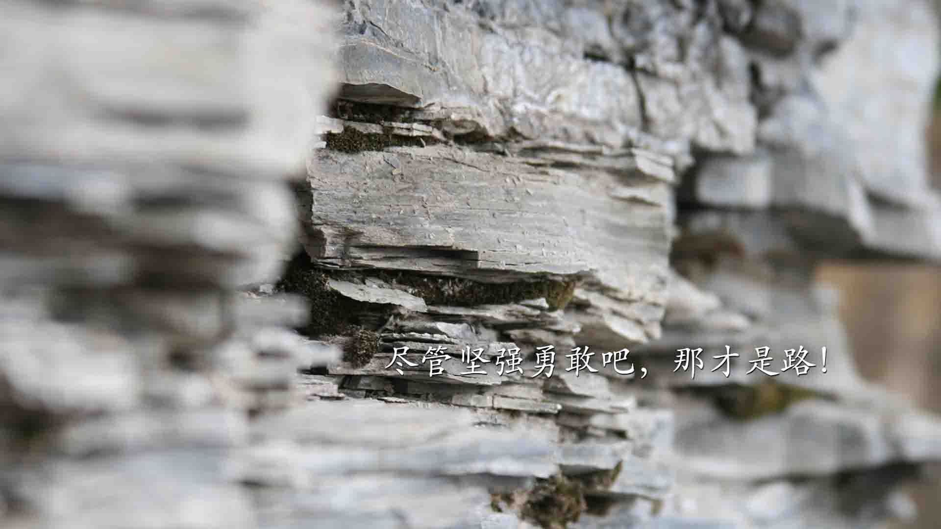 冰与火之歌,当传控王朝的余烬,燃尽于一个人的战争—2026世界杯D组,西班牙的钢铁洪流与托纳利的血色独奏