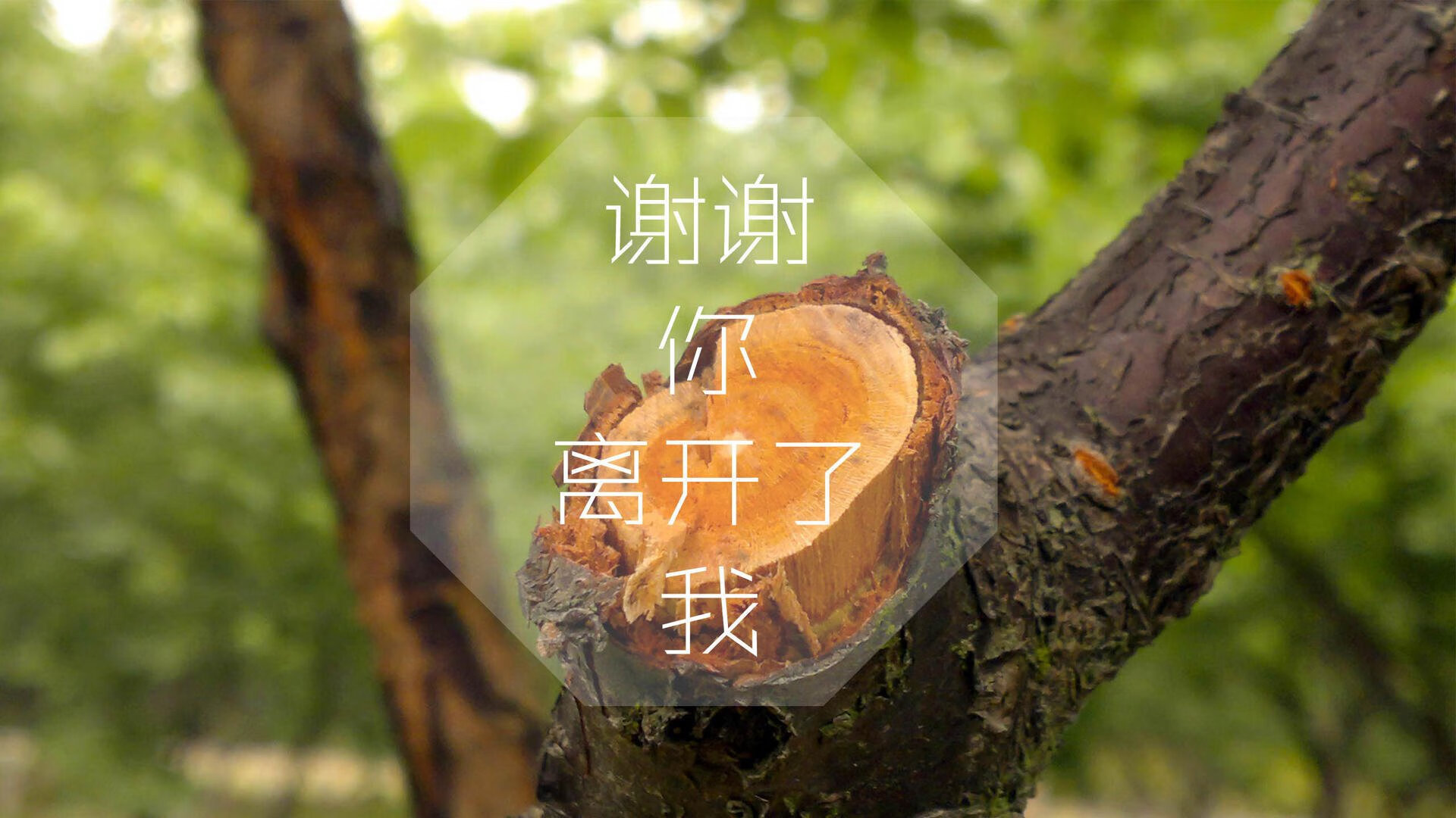 努涅斯?努涅斯!冰岛秘密武器引爆2026世界杯E组冷门